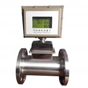 <strong>Gas Flow Meter Type</strong>