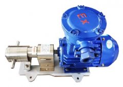Stainless Steel Gear Pump Explosion-proof